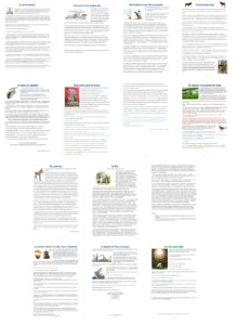 Read more about the article French Tales and Moral Stories – Reading Practice PDF (12 Free Short Texts)