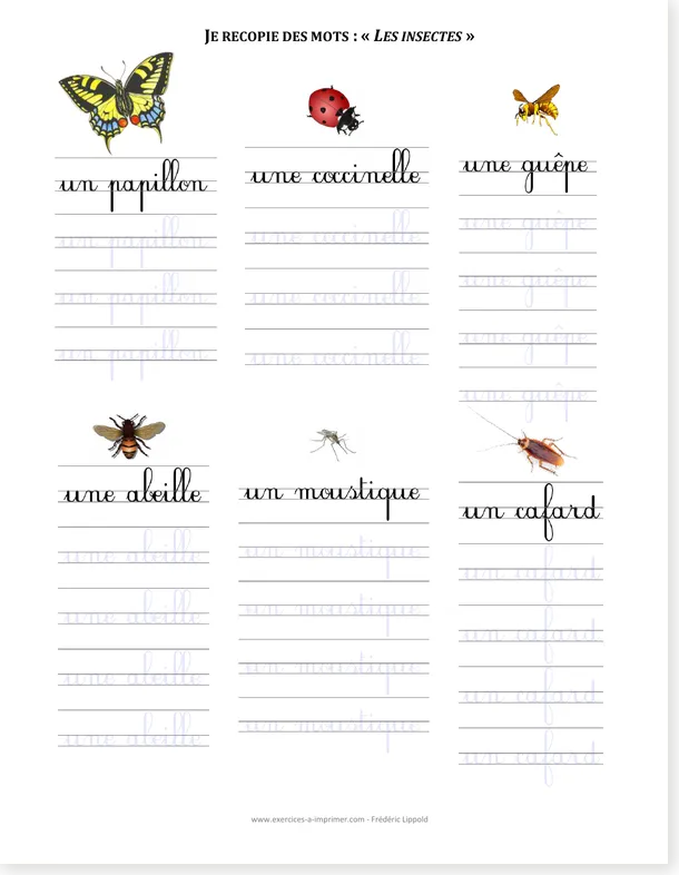 Free French insects copywork worksheet preview