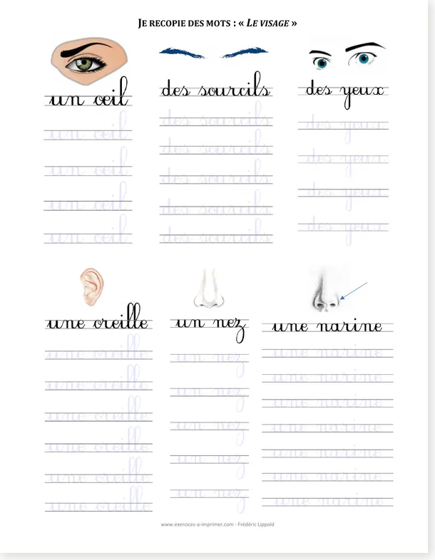 French cursive copywork face words worksheet