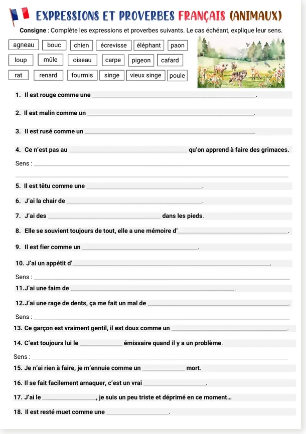 Shortened French animal expressions worksheet preview