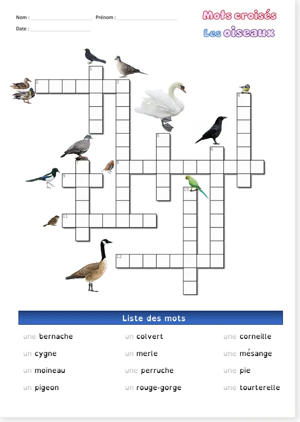 French crossword worksheet about birds