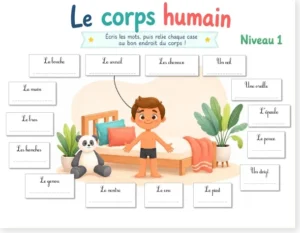 Read more about the article French Body Parts Worksheet – Read, Write and Match