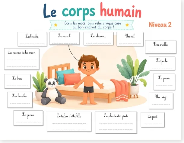 French body parts worksheet Level 2