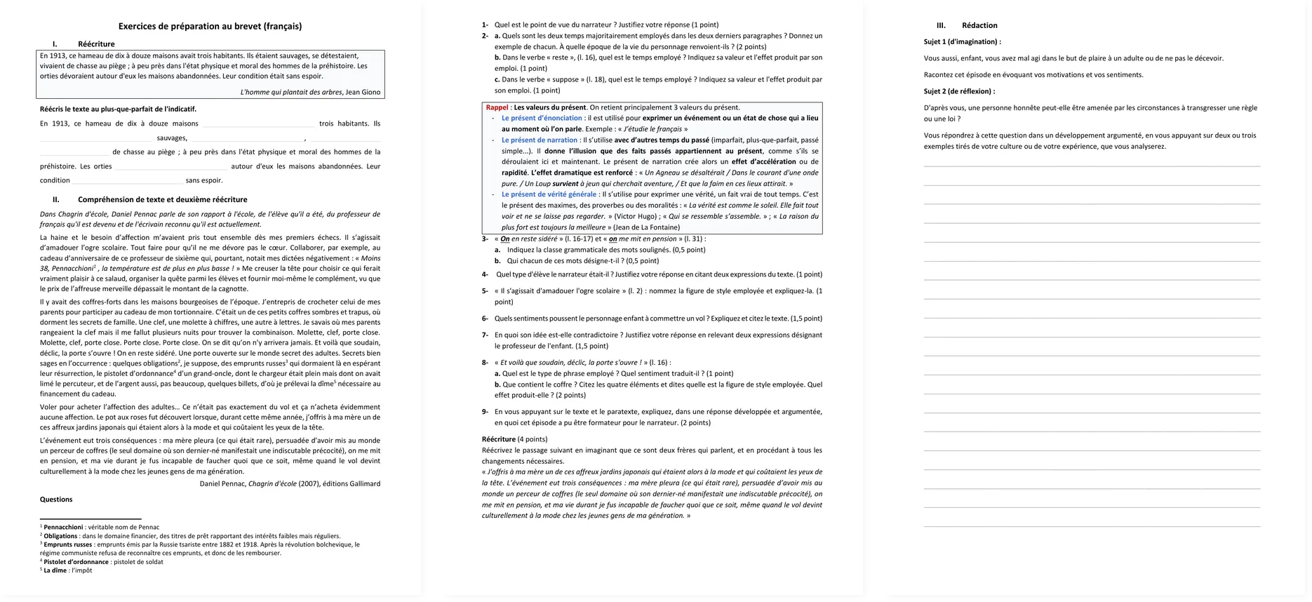 Preview of the French Brevet exam preparation exercises on D Pennac and J Giono