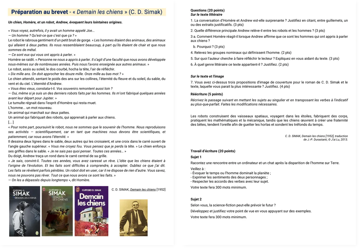 French mock Brevet exam paper Tomorrow the Dogs worksheet preview
