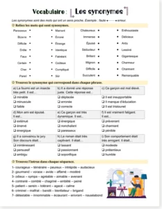 Read more about the article French Synonyms Vocabulary Worksheet – Free PDF + Premium version