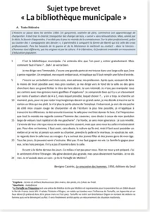 Read more about the article French Brevet Practice Exam: The Municipal Library – Reading, Grammar and Writing
