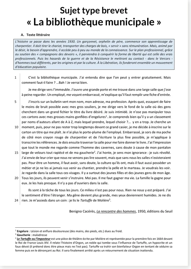 Read more about the article French Brevet Practice Exam: The Municipal Library – Reading, Grammar and Writing
