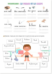 Read more about the article French Face and Body Vocabulary Worksheets (with free PDF)