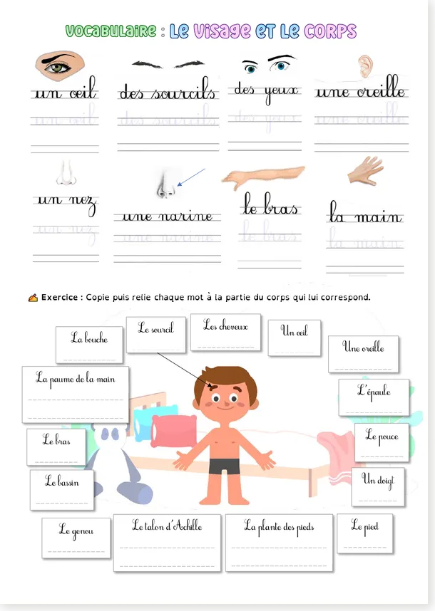 Read more about the article French Face and Body Vocabulary Worksheets (with free PDF)