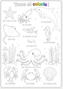 Read more about the article French Underwater Animals Trace and Color Worksheet (with free PDF)
