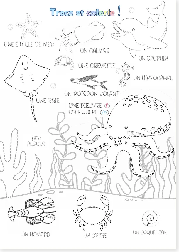 Preview of the old free French underwater animals worksheet