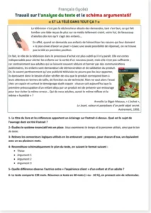 Read more about the article High School French Text Analysis: What About TV?