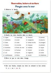 Read more about the article French Under the Sea Worksheet – Observation, Reading and Writing PDF