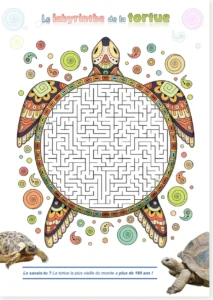 Read more about the article Free Turtle Maze Worksheet for Kids – Printable PDF