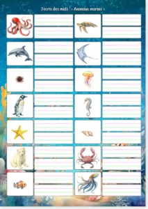 Read more about the article French Writing Worksheets: Write the Words from Pictures