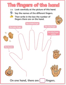 Read more about the article Fingers of the Hand Worksheet – Printable English PDF for Kids