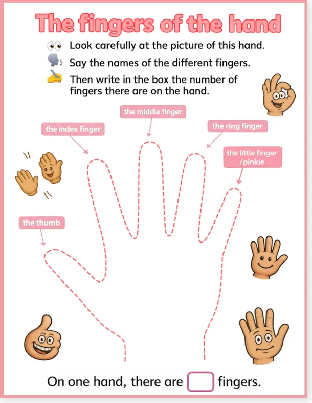 Read more about the article Fingers of the Hand Worksheet – Printable English PDF for Kids