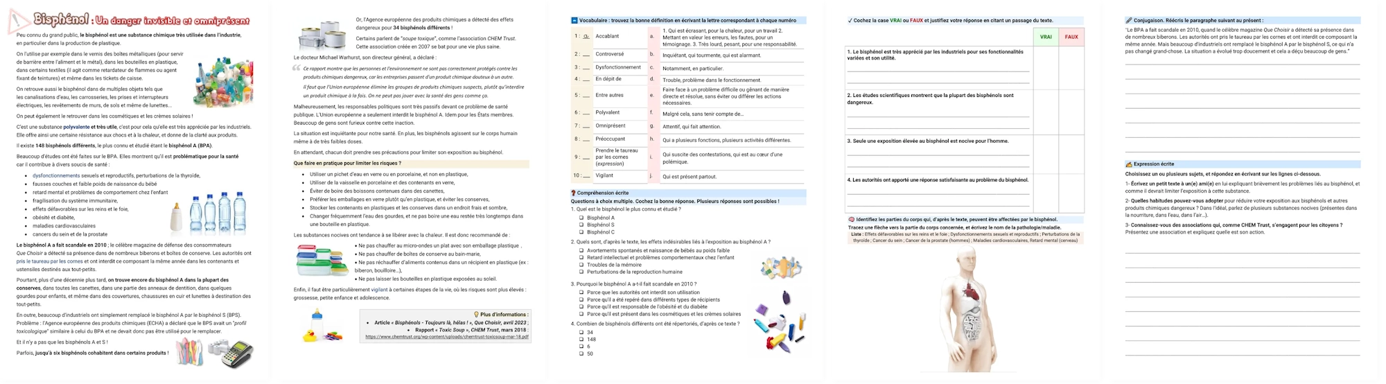 All the pages of the bisphenol worksheet: article, vocabulary, comprehension and writing