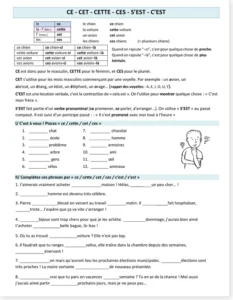 Read more about the article Ce, Cette, Cet, Ces, C’est, S’est – French Worksheet