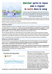 Read more about the article French Reading Worksheet: Walking After a Meal and Blood Sugar (with free PDF)