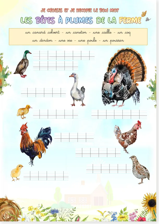 Feathered farm animals French worksheet preview