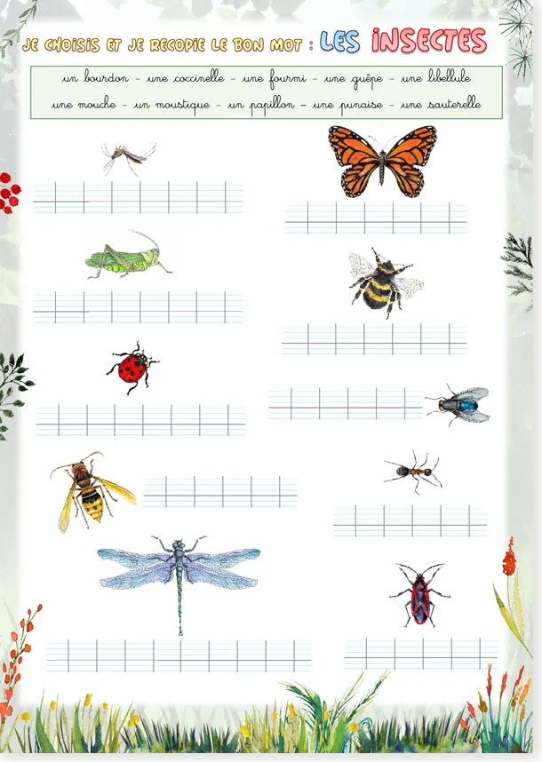 Insects French worksheet preview