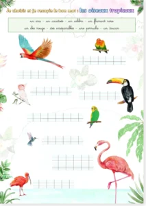 Read more about the article French Animal Vocabulary Worksheets – Choose and Copy the Correct Word