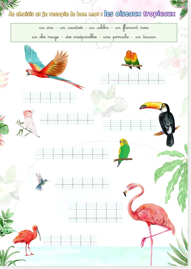 Read more about the article French Animal Vocabulary Worksheets – Choose and Copy the Correct Word