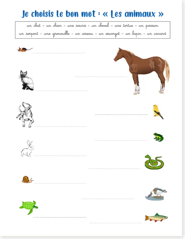 General animals French worksheet preview