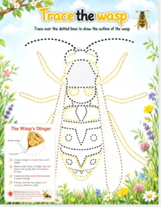 Read more about the article Trace the Wasp – Tracing Worksheet + Stinger Facts