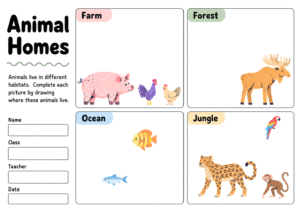 Read more about the article Animal Homes Worksheet: Draw Four Animal Habitats (Free PDF)