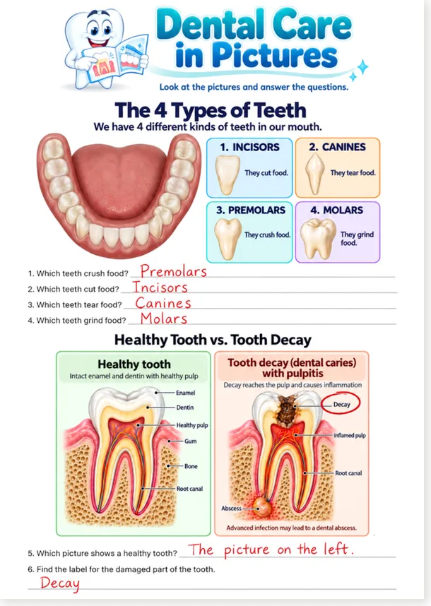 Dental care in pictures answer key preview