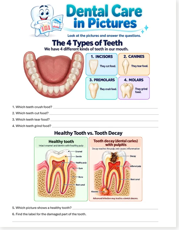 Worksheet preview: Dental Care in Pictures