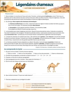 Read more about the article French Reading Comprehension Worksheet: Legendary Camels (with Free PDF)