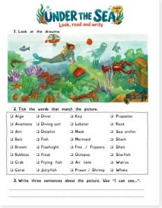 Read more about the article Under the Sea Worksheet: Ocean Vocabulary (A1)